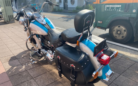 HARLEY FLSTC 2017 BWV