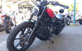 HARLEY  HARLEY RH975 NIGHT  STAR  2023 ZH1