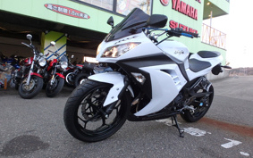 KAWASAKI NINJA 250 EX250L