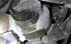 HONDA JOKER 90 2025 HF09