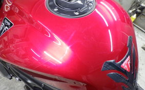 TRIUMPH SPEED TRIPLE RR 2022