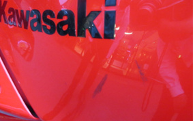 KAWASAKI NINJA 250R EX250K
