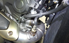 DUCATI HYPERMOTARD698 2024