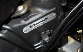 KAWASAKI NINJA 1000 SX 2025