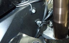 SUZUKI GSX-R1000 2010