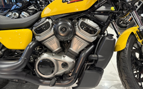 HARLEY  HARLEY RH975S NIGHT  STAR  2023 ZF1