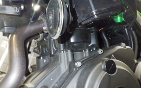 KAWASAKI Z250 Gen.2 2023 EX250Y