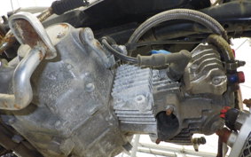 OTHER +UNREGISTERED MODEL by BDS50