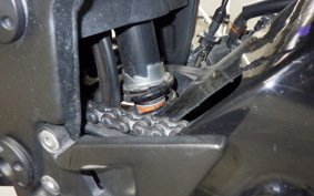 KAWASAKI NINJA 250R 2013 EX250K