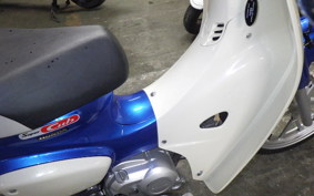 HONDA C110 SUPER CUB