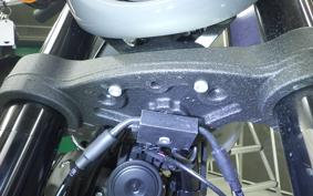 HARLEY FXLRS1920 2025