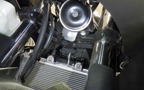 KAWASAKI NINJA 250 EX250P