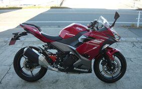 KAWASAKI NINJA 250 EX250P