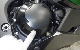 KAWASAKI NINJA 1000 SX 2024 ZXT02K