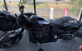 HARLEY FXDR114 2019 YVK