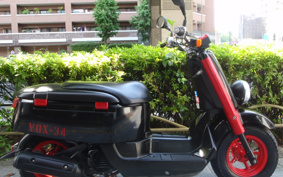 YAMAHA VOX LIMITED  SA31J