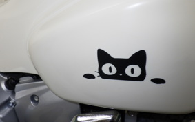 HONDA C110 SUPER CUB 2019 JA59