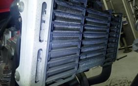 HONDA HORNET 250 MC31