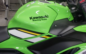 KAWASAKI NINJA 650 A 2024 ER650S