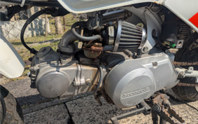 HONDA MONKEY Z50J