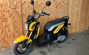 HONDA ZOOMER-X JF38