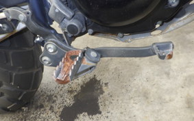 YAMAHA TW225 DG09J