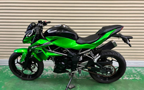 KAWASAKI Z250 SL BR250E