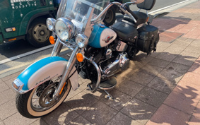HARLEY FLSTC 2017 BWV