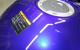 YAMAHA YZF-R25 2025 RG43J