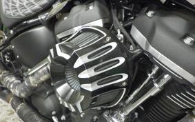 HARLEY FXBB1750 2019