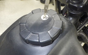 YAMAHA TW200 Gen.2 2007 DG07J