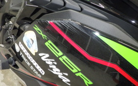 KAWASAKI ZX-25R 2023 ZX250E