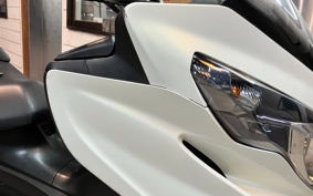 SUZUKI SKYWAVE 250S-1 CJ46A