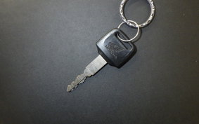 HONDA CBR1100XX 1998
