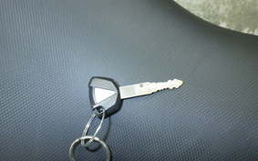 KAWASAKI Z250 Gen.2 2025 EX250P