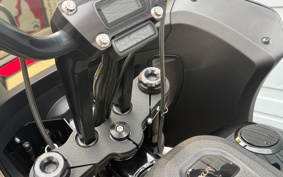 HARLEY FXLRST 2024 YXZ