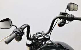 HARLEY FXBB 2018 YJJ