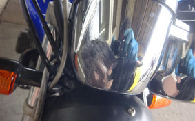 HONDA HORNET 250 MC31