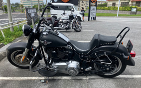 HARLEY FLSTFB 2010 JN5