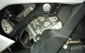 BMW S1000RR M DDC 2020