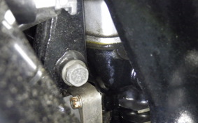 KAWASAKI ZZ-R250 2022 EX250H