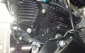 KAWASAKI Z125 PRO 2021 BR125H