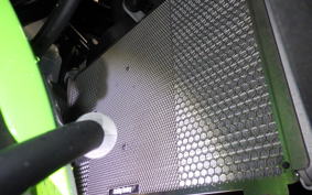 KAWASAKI ZX-4RR 2024 ZX400P