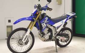 YAMAHA WR250R 2021 DG15J