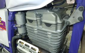 YAMAHA TT250R RAID 4GY