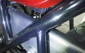 KAWASAKI Z1000 2024 Z1F