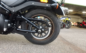 HARLEY  HARLEY FXLRS 2023 YWZ