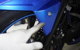 SUZUKI GSX250RA 2005