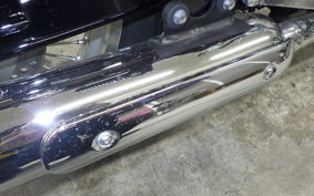 KAWASAKI W800 2024 EJ800E