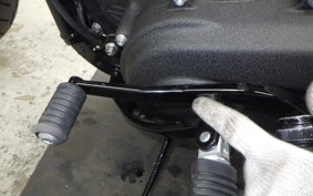 HARLEY FXLRS1920 2026